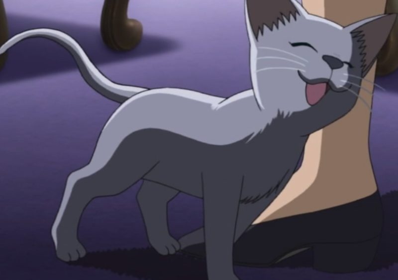 猫の画像だけでどのアニメか当てるスレ