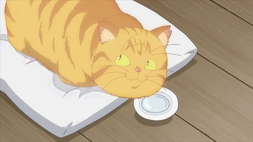 猫の画像だけでどのアニメか当てるスレ