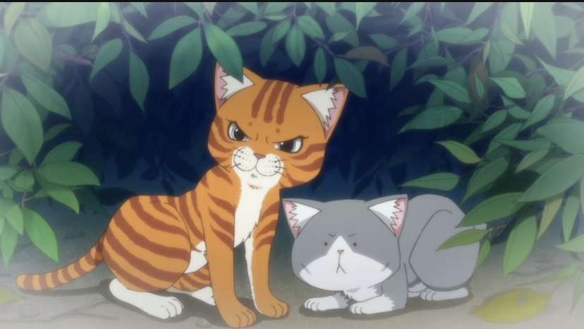 猫の画像だけでどのアニメか当てるスレ