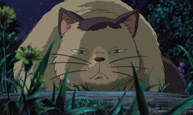 猫の画像だけでどのアニメか当てるスレ