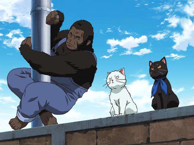 猫の画像だけでどのアニメか当てるスレ