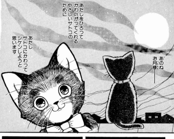 猫の画像だけでどのアニメか当てるスレ