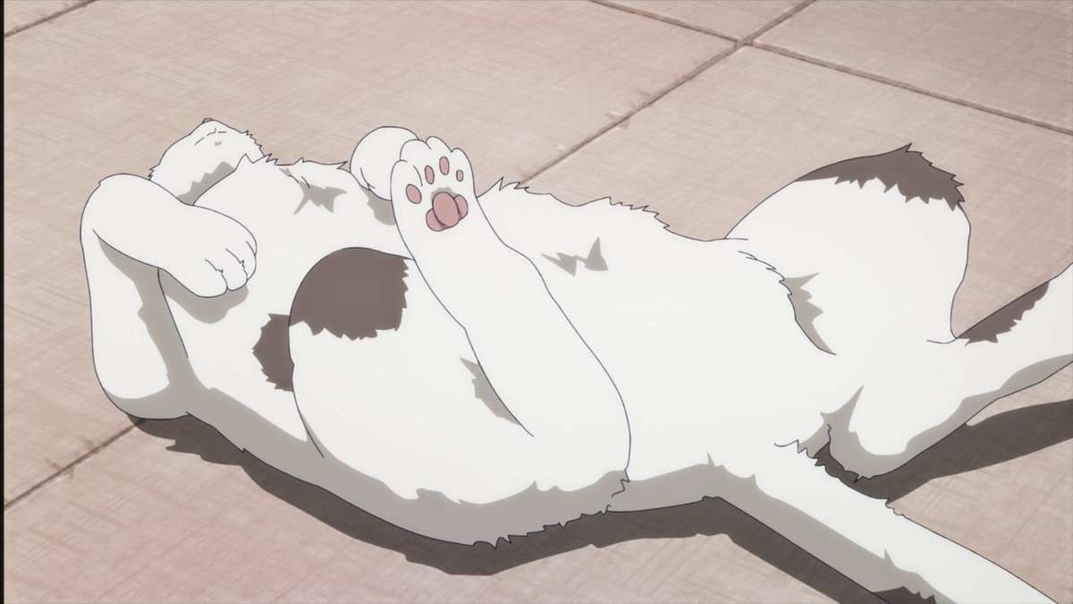 猫の画像だけでどのアニメか当てるスレ