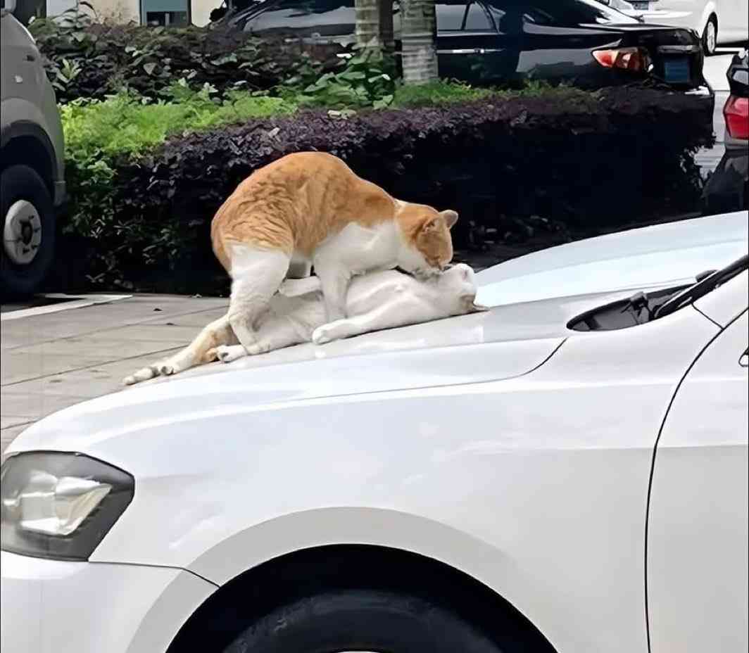 安心して思わず泣いた事