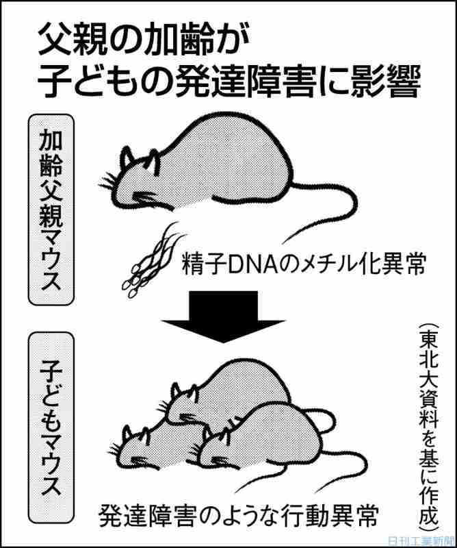 「彼女を失いたくないけど結婚は怖い…」39歳男性が5年同棲しても“決断できなかった”意外な理由