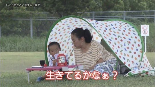 『探偵!ナイトスクープ』を語ろう【アンチ禁止】part2