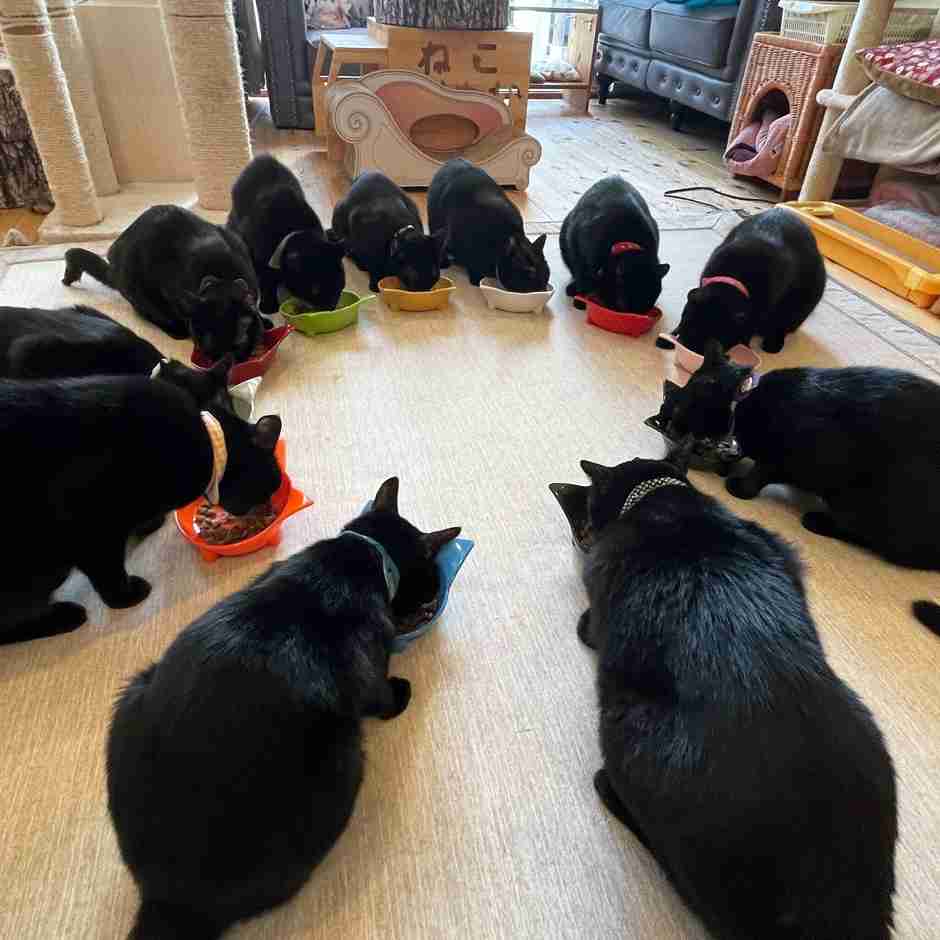 ご飯だよ、って声をかけても集まらない家族