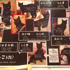 ご飯だよ、って声をかけても集まらない家族