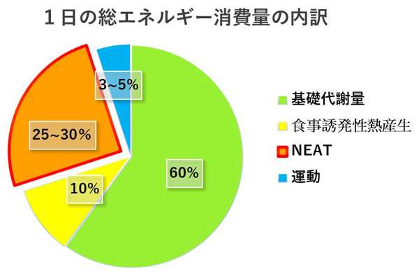 運動不足自慢