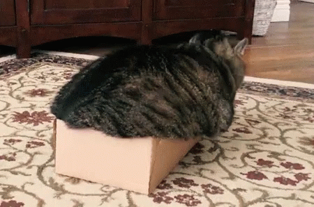 よく物を壊す人(トドメをさす人)