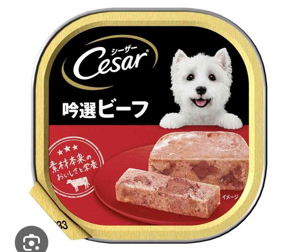 犬飼うなら何犬を飼いたい?