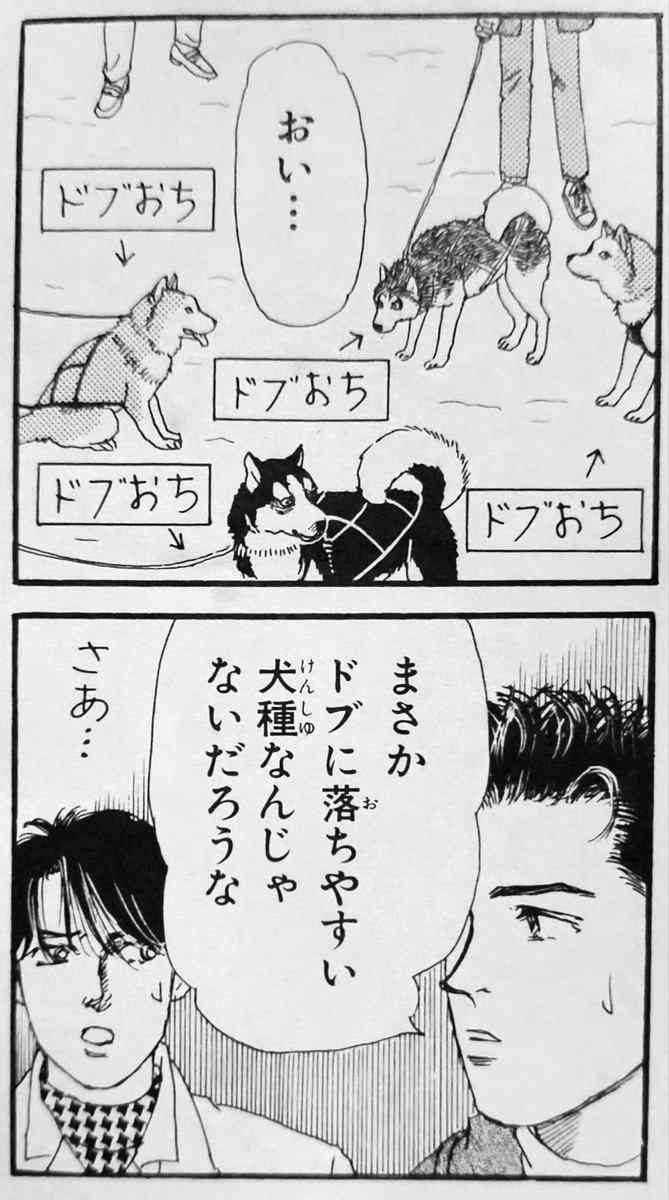 犬飼うなら何犬を飼いたい?
