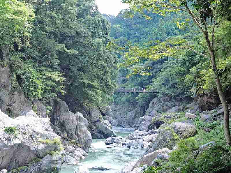 東京生まれ東京育ちの人〜