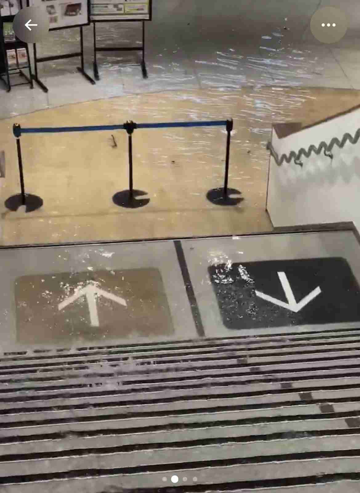 大雨警報大丈夫？