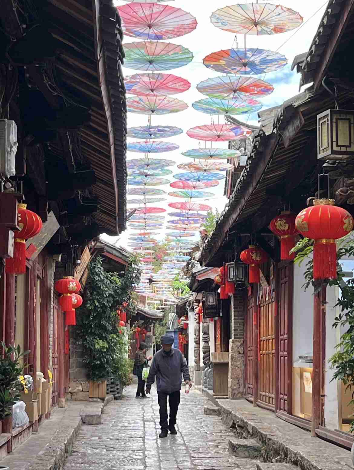 一人旅心から楽しめますか?