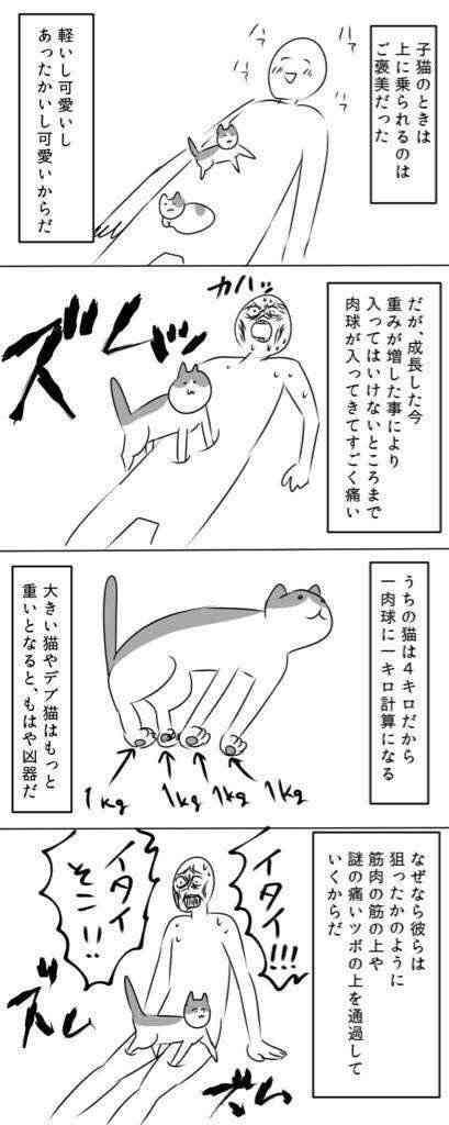 ペットを飼っていて困る事は?