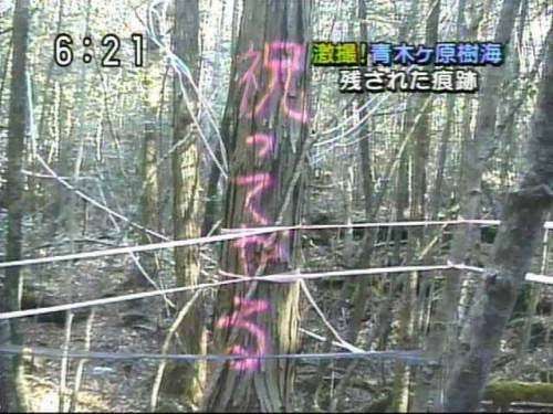 キャンプ嫌いな人