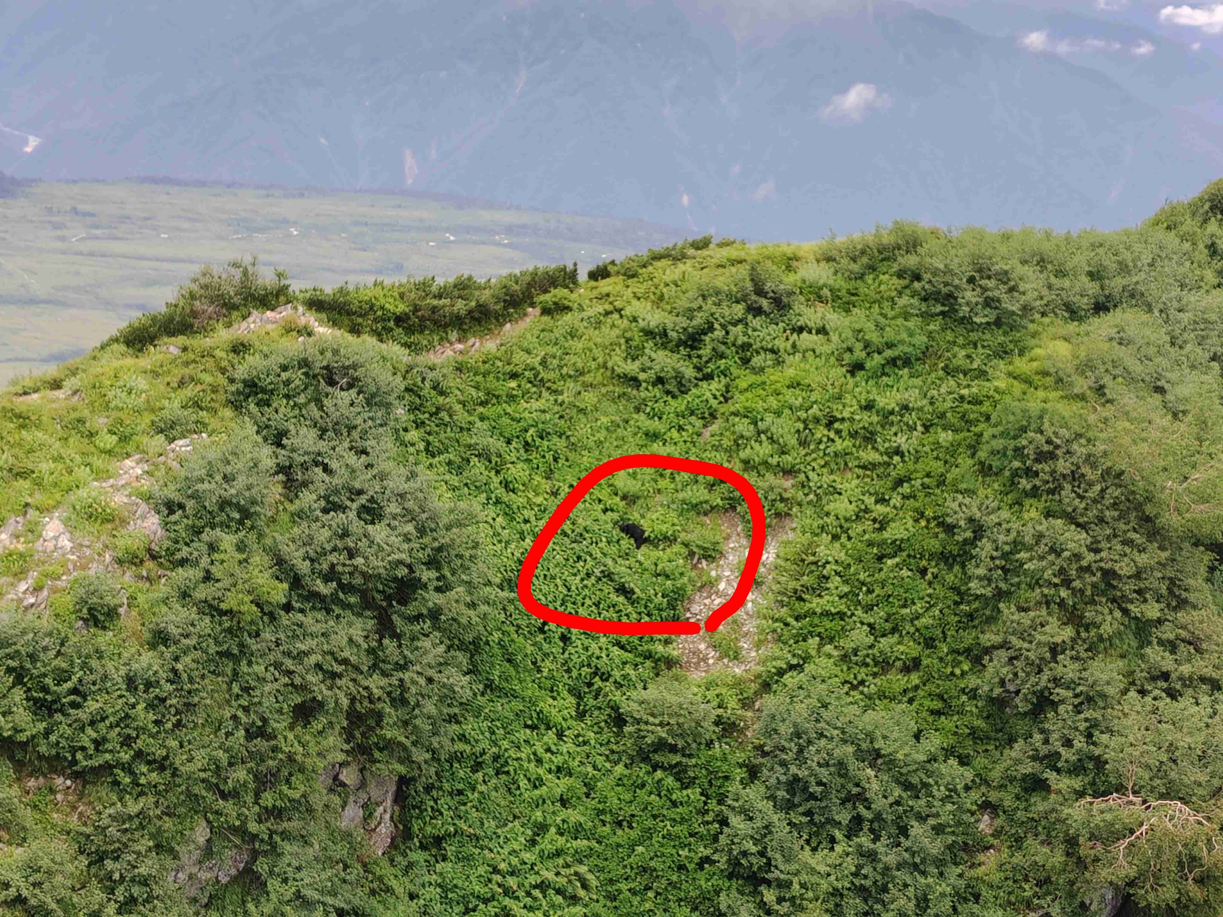 登山する人
