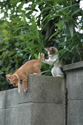 押しに弱い人