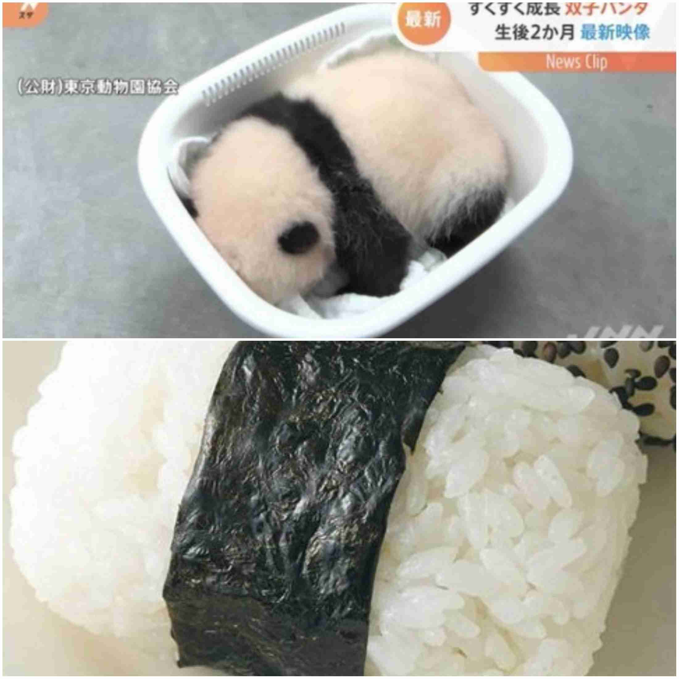 似てると思ったらプラス