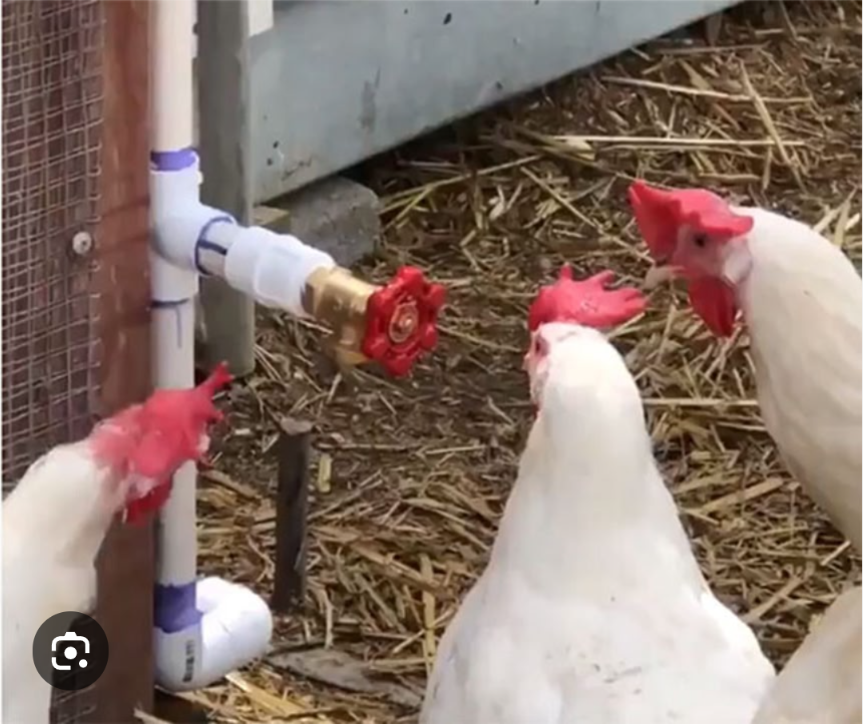 似てると思ったらプラス