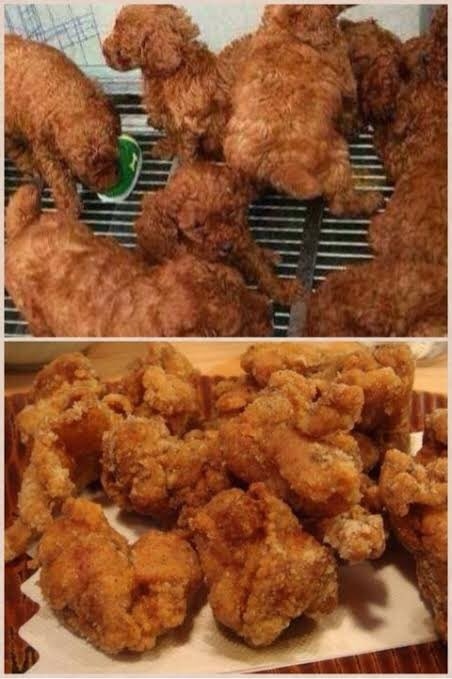 似てると思ったらプラス