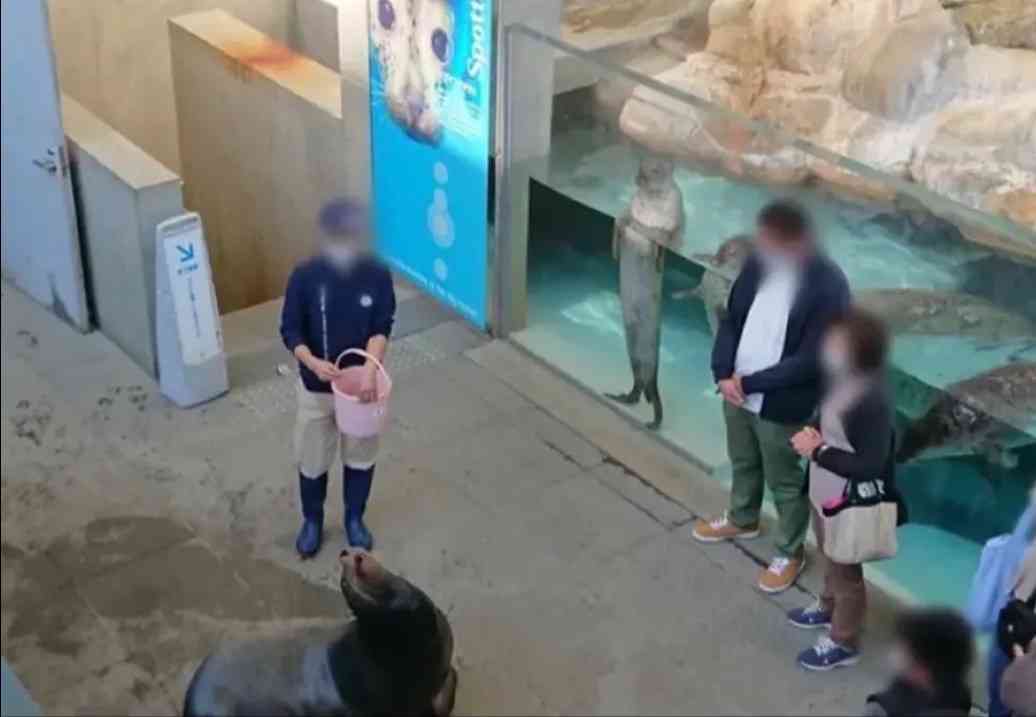 【芸能人の画像禁止】笑いのツボが浅いガル民に見せたい画像やgifが集まるトピ【悪意禁止】part12