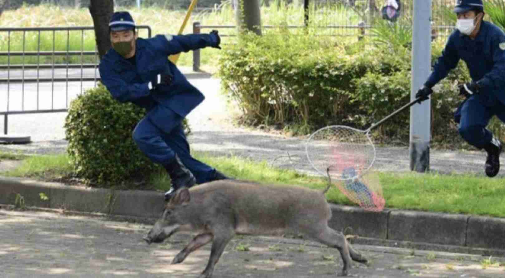 【芸能人の画像禁止】笑いのツボが浅いガル民に見せたい画像やgifが集まるトピ【悪意禁止】part12