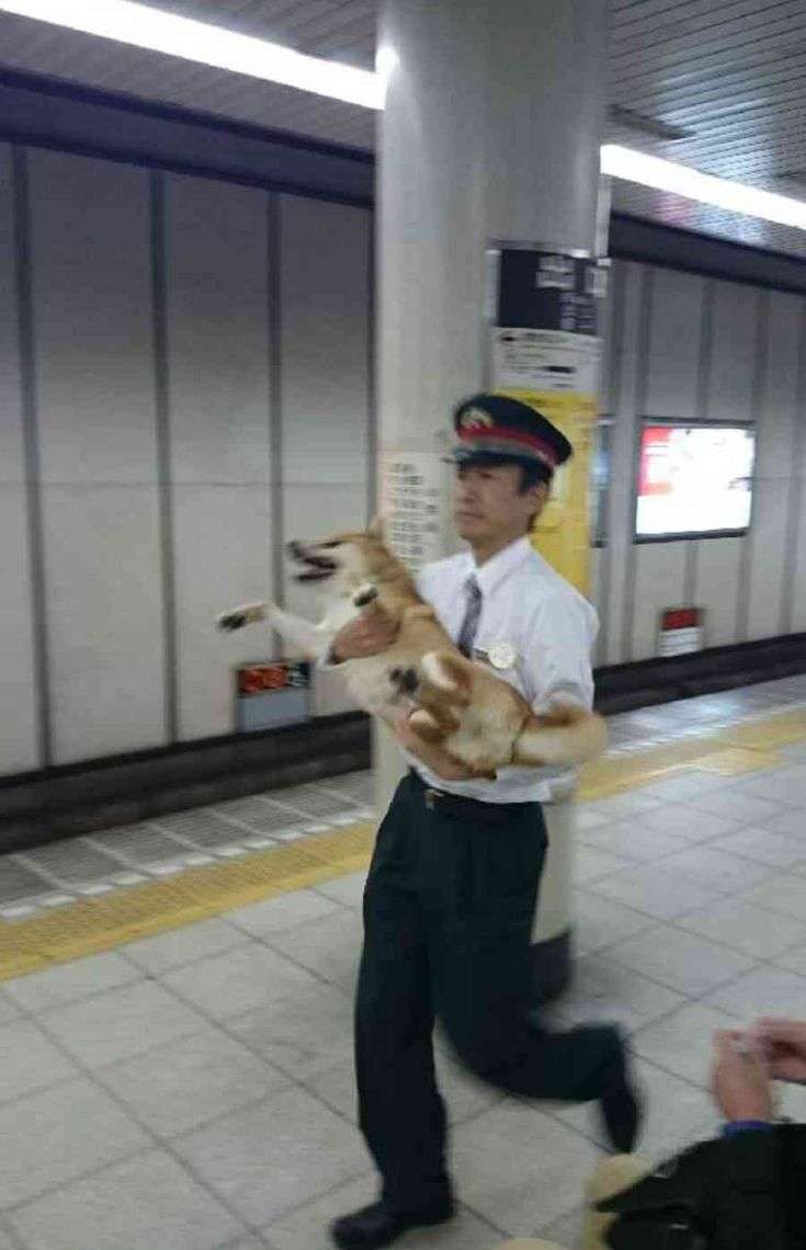 【芸能人の画像禁止】笑いのツボが浅いガル民に見せたい画像やgifが集まるトピ【悪意禁止】part12