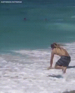【芸能人の画像禁止】笑いのツボが浅いガル民に見せたい画像やgifが集まるトピ【悪意禁止】part12