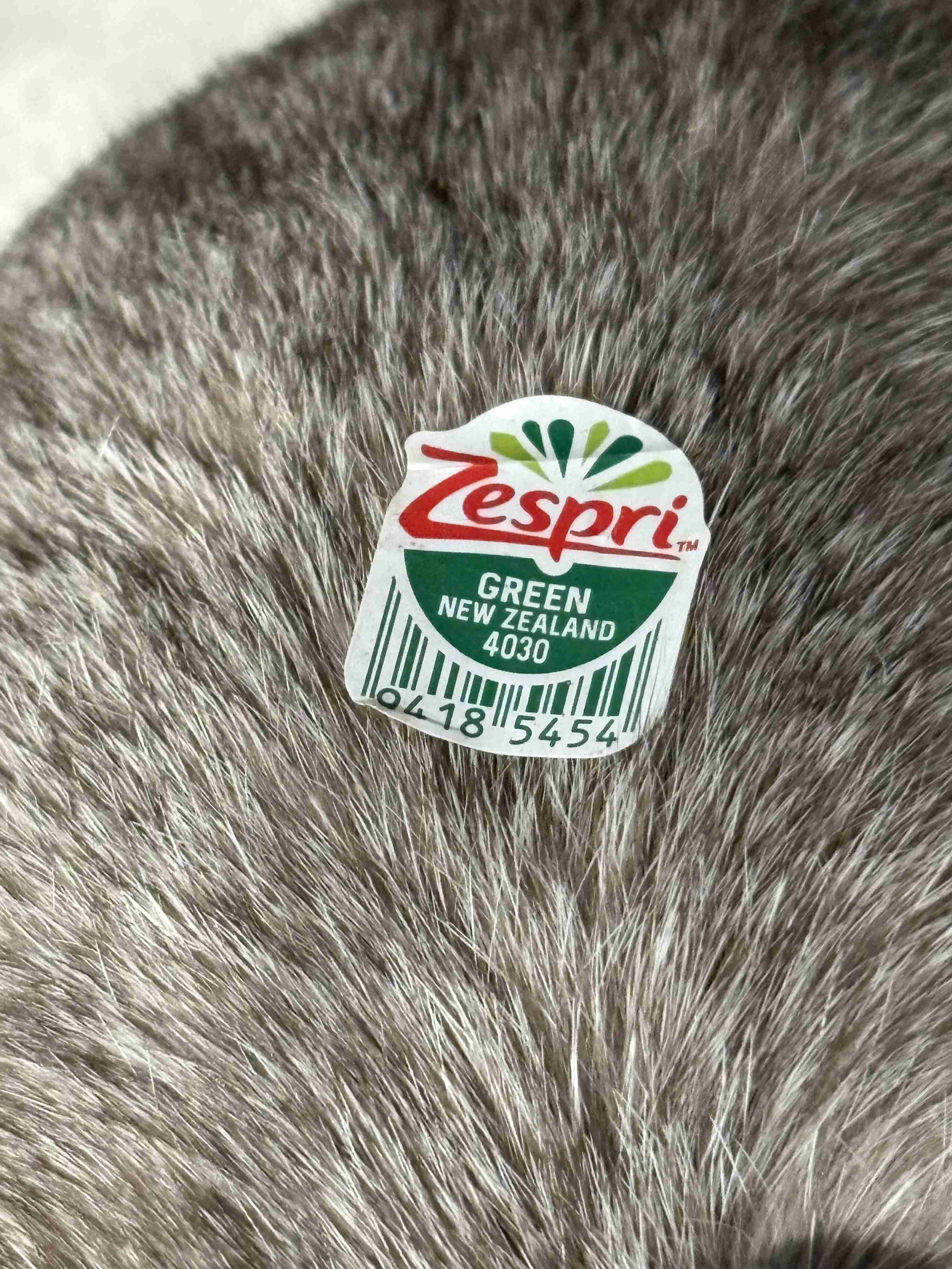 なんの動物か当てるトピ