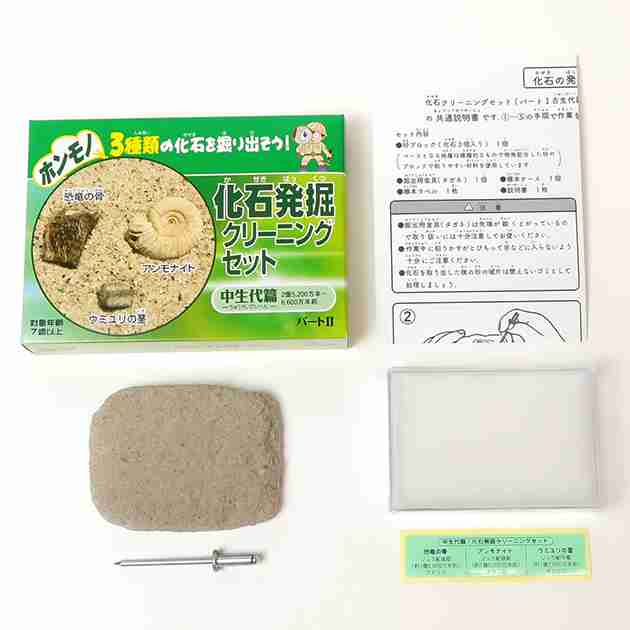 夏休み折り返し（遊びのネタ切れ）どうしのぐ？
