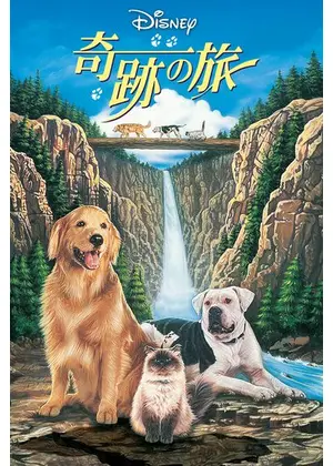 動物との触れ合いをテーマとした映画。