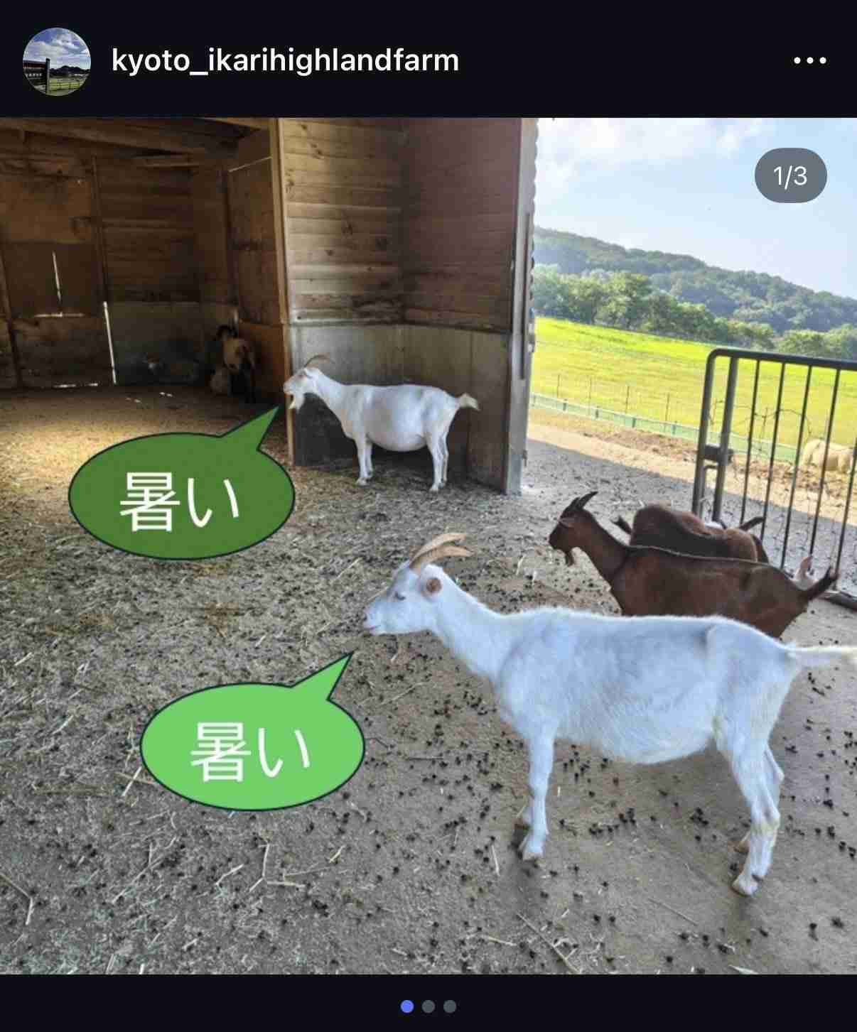 ○○過ぎる○○、自分に当てはめてみて!