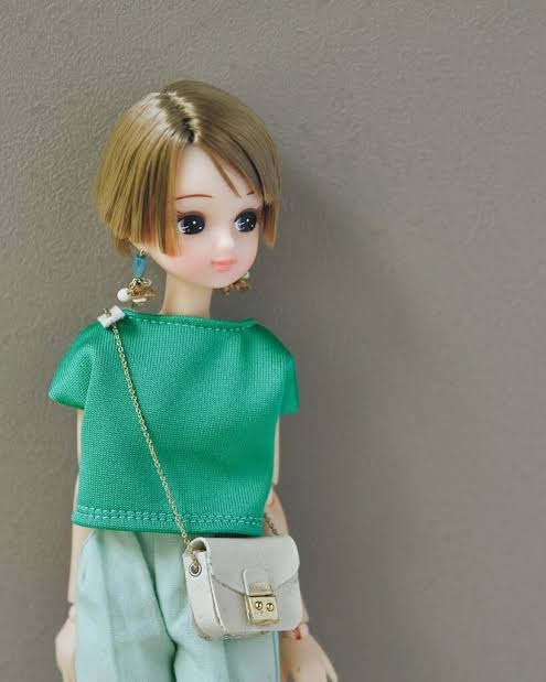 着せ替え人形について語りたいトピ