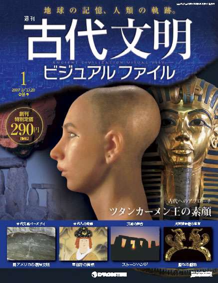 デアゴスティーニってどうですか?