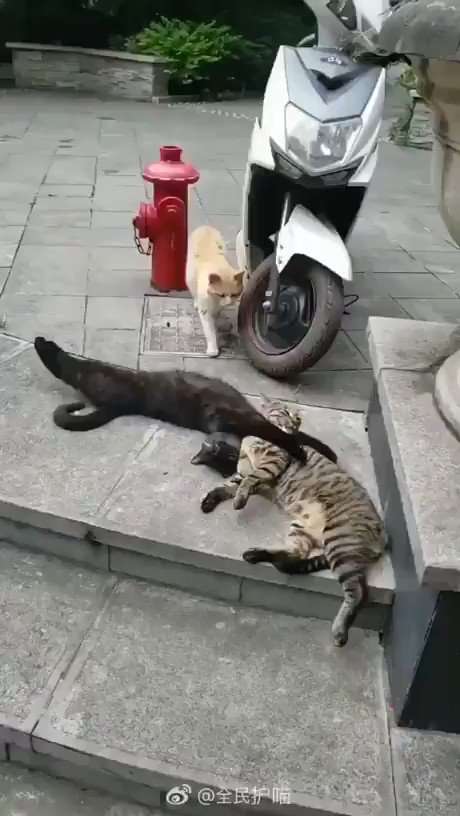 不倫したいわけじゃないけど好きかも