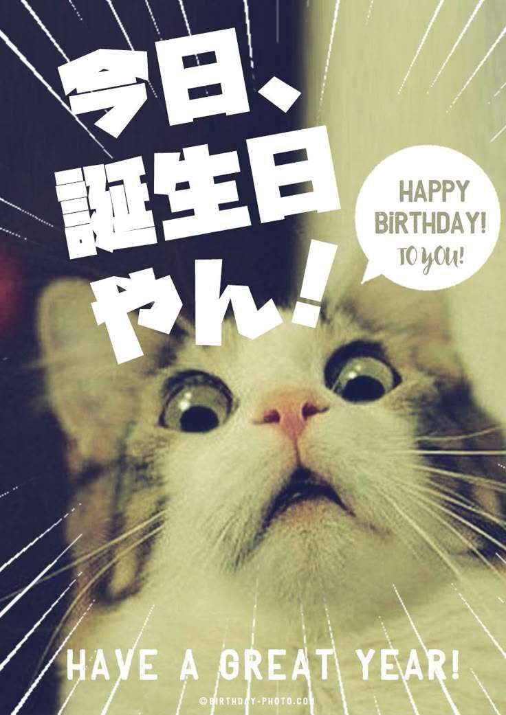 【義実家】誕生日・クリスマスカードを捨てたい