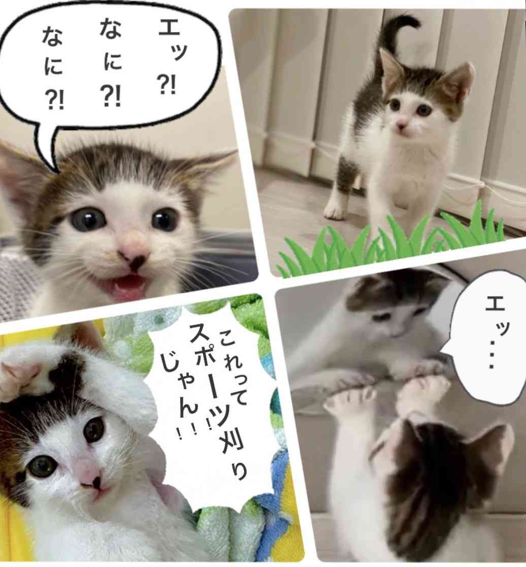前髪なしの人