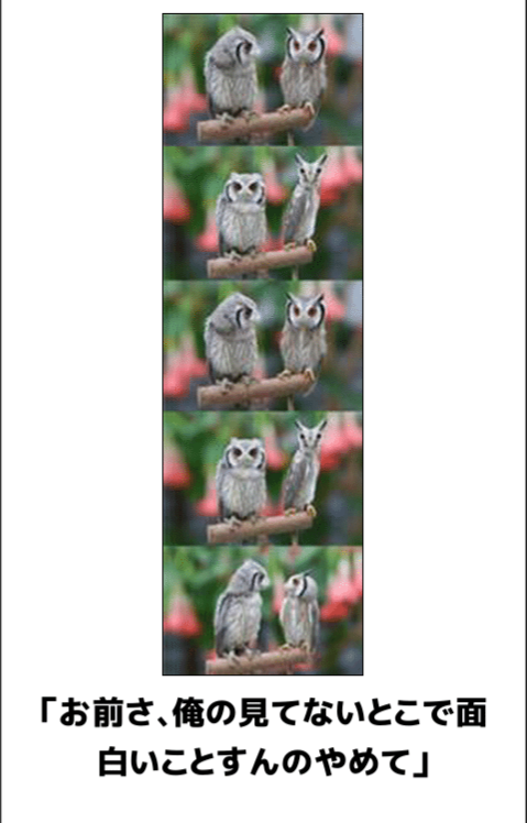 フクロウ🦉好きな人