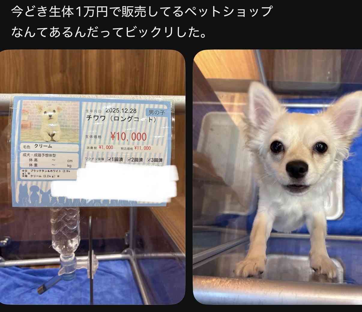 ガル民が集まるお盆休みの雑談トピ