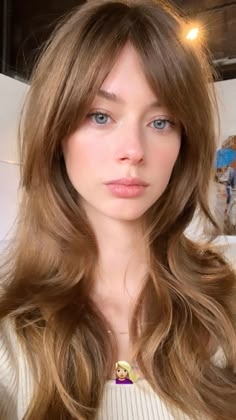 モデルを愛でるトピ