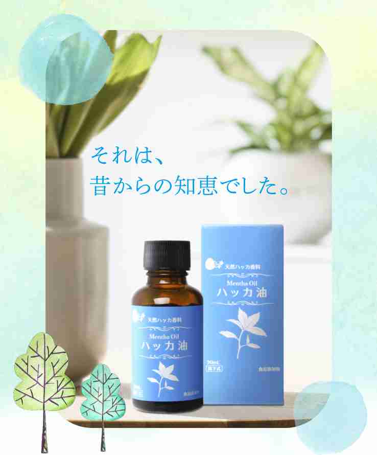 スースー歯磨き粉