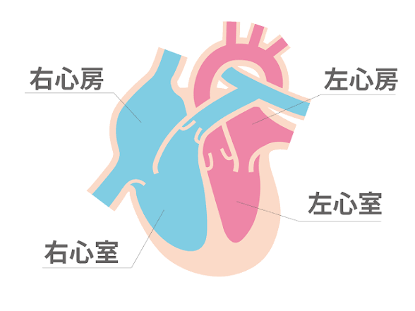 自分的にどっちかわからなくなることの確認の仕方