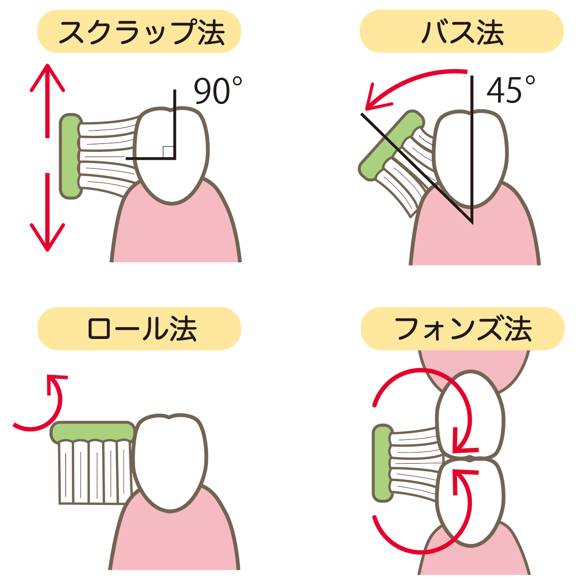 歯茎ケア