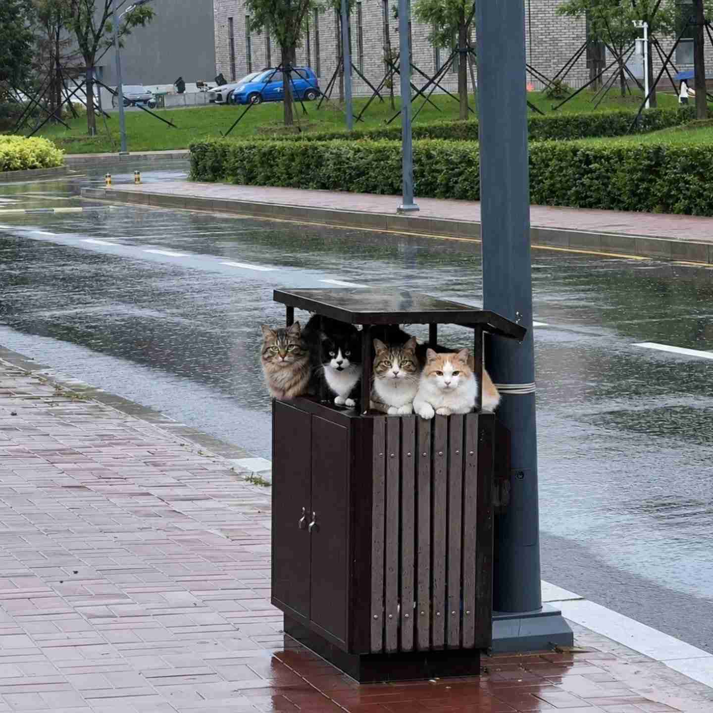 せっかくのお盆休みなのに雨
