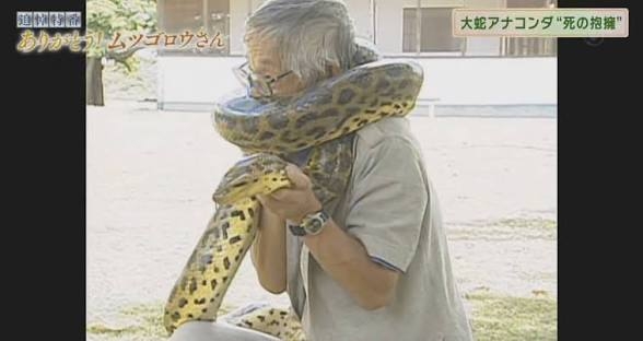 体長約2mのニシキヘビ2匹 マンションから逃げ出す 川崎 多摩区