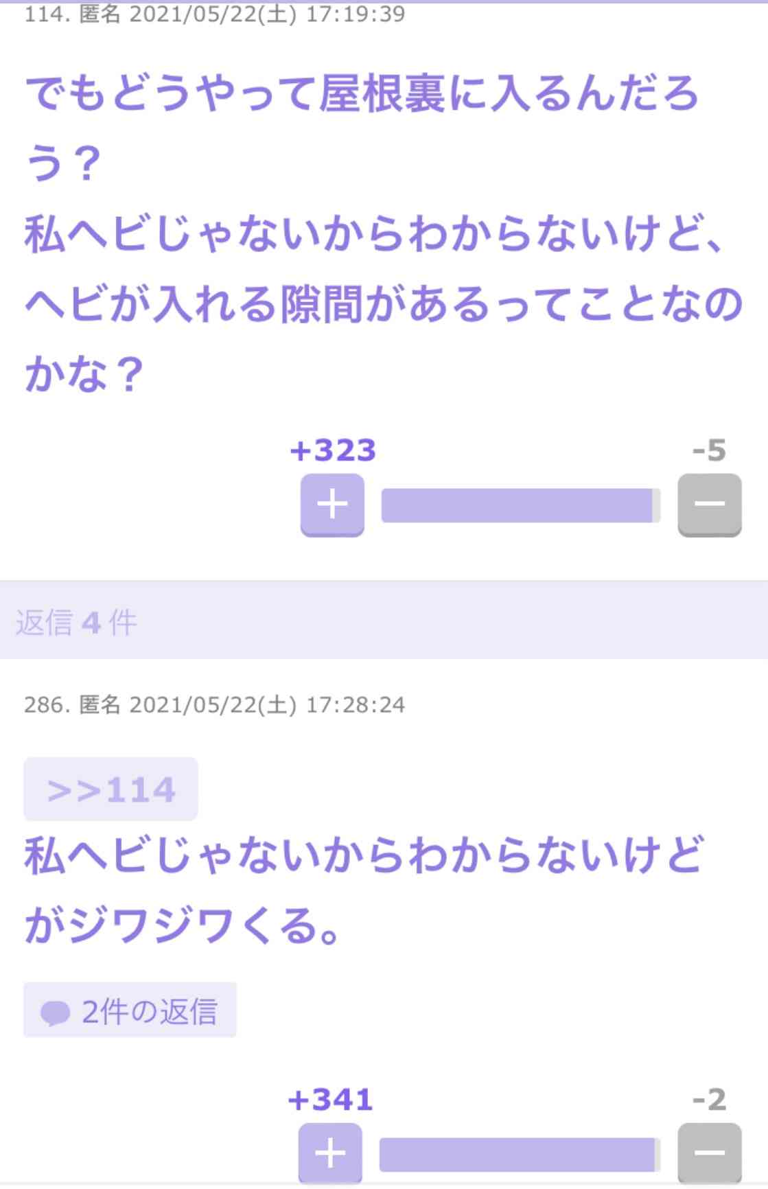 体長約2mのニシキヘビ2匹 マンションから逃げ出す 川崎 多摩区