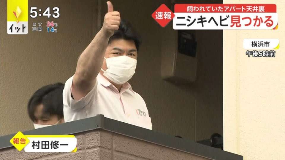 体長約2mのニシキヘビ2匹 マンションから逃げ出す 川崎 多摩区