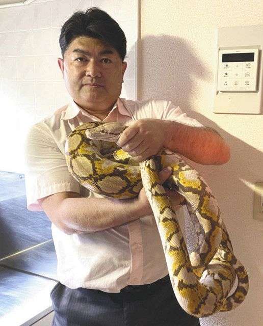 体長約2mのニシキヘビ2匹 マンションから逃げ出す 川崎 多摩区